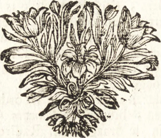 An illustration from d' Argenis van J. Barklai : daar in niet alleenlijk veel vreemde voorvallen van gebeurlijke dingen, maar bezonderlijk vortreffelijke zaken, die de godsdienst, de bestiering van staten, beleit van oorlogen, en de burgerlijke handel aangaan, vertoont worden : beneffens de sleutel en aanwijzing van de namen der personen, die men daar by verstaan kan, 1680, leaf 515