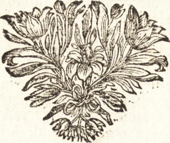 An illustration from d' Argenis van J. Barklai : daar in niet alleenlijk veel vreemde voorvallen van gebeurlijke dingen, maar bezonderlijk vortreffelijke zaken, die de godsdienst, de bestiering van staten, beleit van oorlogen, en de burgerlijke handel aangaan, vertoont worden : beneffens de sleutel en aanwijzing van de namen der personen, die men daar by verstaan kan, 1680, leaf 697