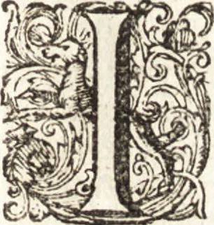 An illustration from d' Argenis van J. Barklai : daar in niet alleenlijk veel vreemde voorvallen van gebeurlijke dingen, maar bezonderlijk vortreffelijke zaken, die de godsdienst, de bestiering van staten, beleit van oorlogen, en de burgerlijke handel aangaan, vertoont worden : beneffens de sleutel en aanwijzing van de namen der personen, die men daar by verstaan kan, 1680, leaf 698