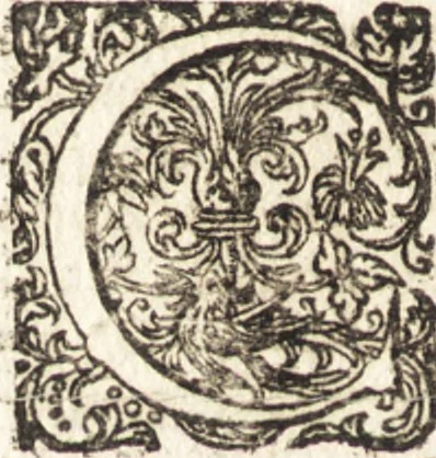 An illustration from Arnoldi Vinnii jurisconsulti clarissimi In quatuor libros Institutionum imperialium commentarius academicus et forensis, 1676, leaf 163