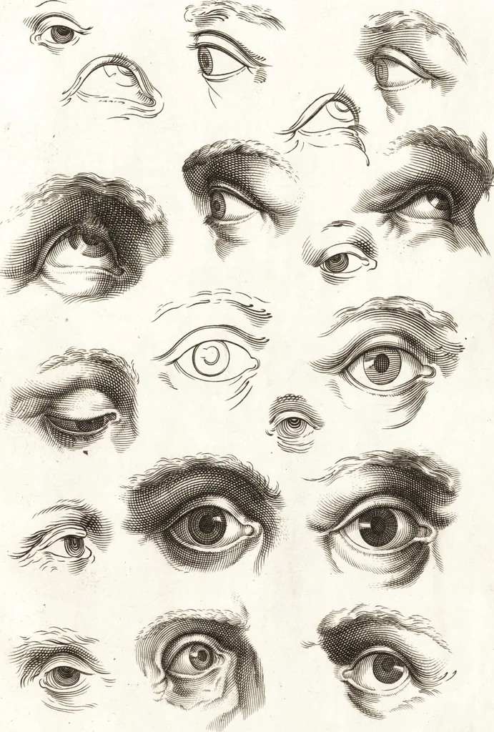 An illustration from Ars pictoria : or, An academy treating of drawing, painting, limning and etching : to which are added thirty copper plates expressing the choicest, nearest, and most exact grounds and rules of symmetry, 1669, leaf 124