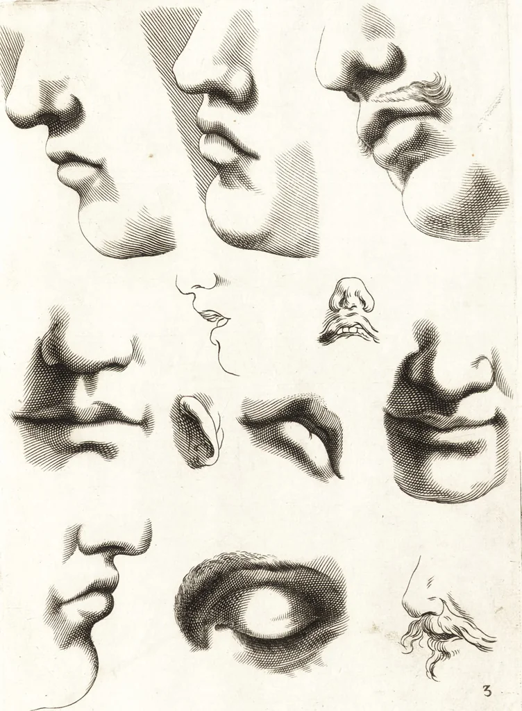 An illustration from Ars pictoria : or, An academy treating of drawing, painting, limning and etching : to which are added thirty copper plates expressing the choicest, nearest, and most exact grounds and rules of symmetry, 1669, leaf 126