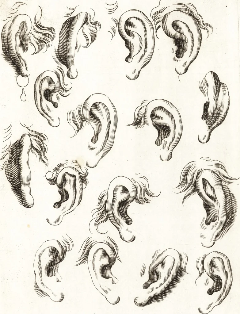 An illustration from Ars pictoria : or, An academy treating of drawing, painting, limning and etching : to which are added thirty copper plates expressing the choicest, nearest, and most exact grounds and rules of symmetry, 1669, leaf 128