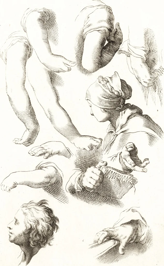 An illustration from Ars pictoria : or, An academy treating of drawing, painting, limning and etching : to which are added thirty copper plates expressing the choicest, nearest, and most exact grounds and rules of symmetry, 1669, leaf 144