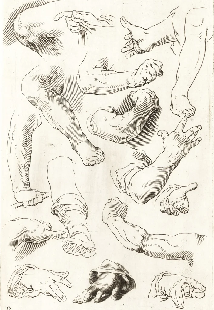 An illustration from Ars pictoria : or, An academy treating of drawing, painting, limning and etching : to which are added thirty copper plates expressing the choicest, nearest, and most exact grounds and rules of symmetry, 1669, leaf 146
