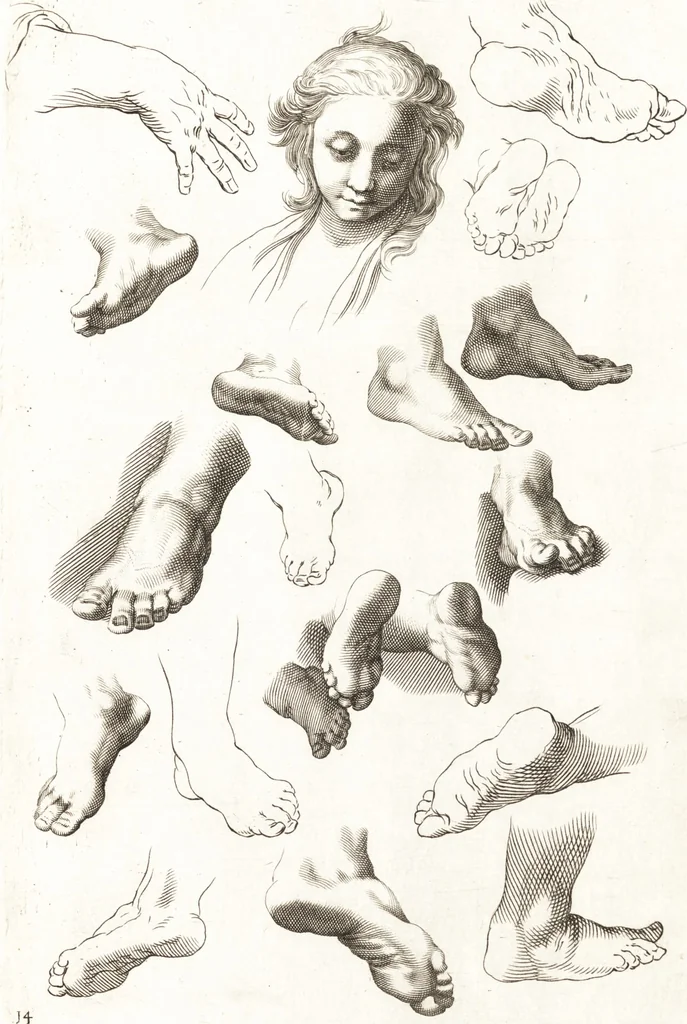 An illustration from Ars pictoria : or, An academy treating of drawing, painting, limning and etching : to which are added thirty copper plates expressing the choicest, nearest, and most exact grounds and rules of symmetry, 1669, leaf 148