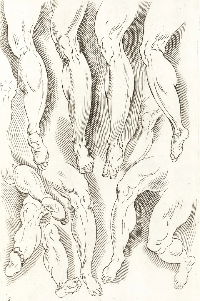 An illustration from Ars pictoria : or, An academy treating of drawing, painting, limning and etching : to which are added thirty copper plates expressing the choicest, nearest, and most exact grounds and rules of symmetry, 1669, leaf 150