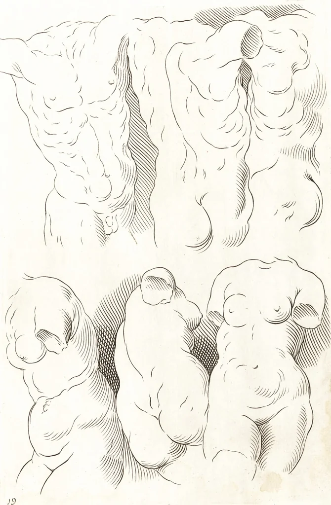 An illustration from Ars pictoria : or, An academy treating of drawing, painting, limning and etching : to which are added thirty copper plates expressing the choicest, nearest, and most exact grounds and rules of symmetry, 1669, leaf 158