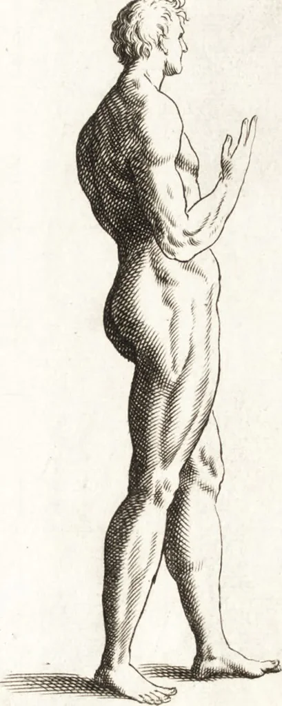 An illustration from Ars pictoria : or, An academy treating of drawing, painting, limning and etching : to which are added thirty copper plates expressing the choicest, nearest, and most exact grounds and rules of symmetry, 1669, leaf 164