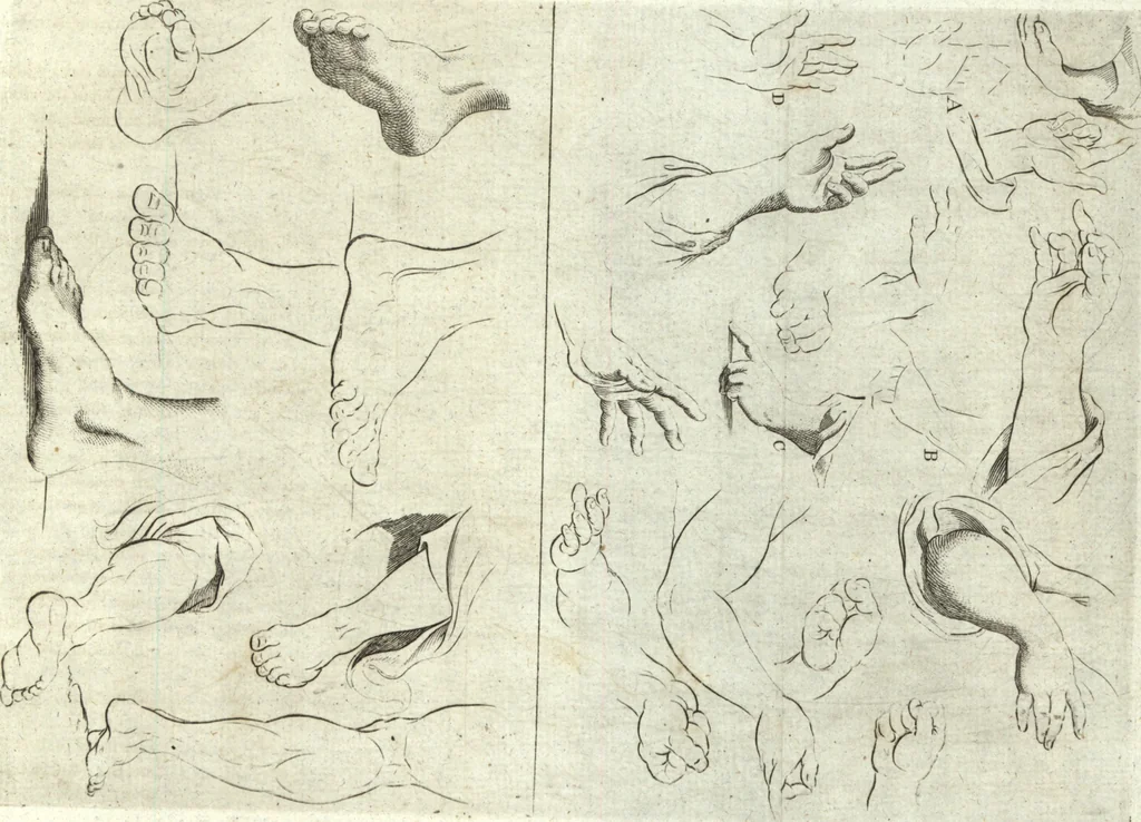 An illustration from The artist's assistant, or, School of science : forming a practical introduction to the polite arts, in painting, drawing, designing, perspective, engraving, colouring, &c. : with ample directions for japanning, enamelling, gilding, silvering, lacquering, &c. : and a valuable selection of miscellaneous secrets : illustrated with plates, 1803, leaf 30