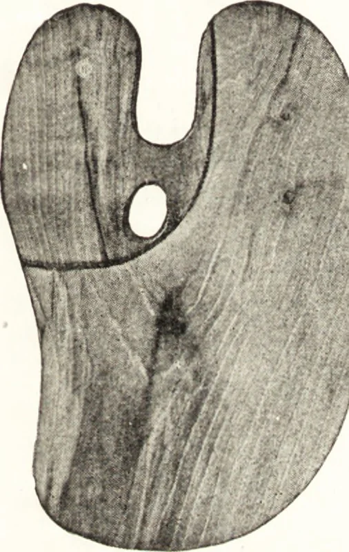 An illustration from Artists' colour makers, 1901, leaf 114