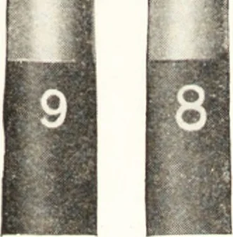 An illustration from Artists' colour makers, 1901, leaf 76