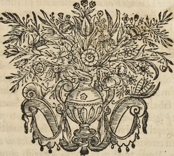 An illustration from Athanasii Kircheri è Soc. Jesu Latium, id est, Nova & parallela Latii tum veteris tum novi descriptio : qua quaecunque vel natura, vel veterum Romanorum ingenium admiranda effecit, geographico-historico-physico ratiocinio, juxta rerum gestarum, temporumque seriem exponitur & enucleatur, 1671, leaf 150
