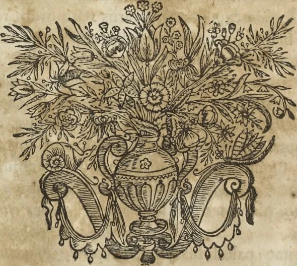 An illustration from Athanasii Kircheri è Soc. Jesu Latium, id est, Nova & parallela Latii tum veteris tum novi descriptio : qua quaecunque vel natura, vel veterum Romanorum ingenium admiranda effecit, geographico-historico-physico ratiocinio, juxta rerum gestarum, temporumque seriem exponitur & enucleatur, 1671, leaf 59