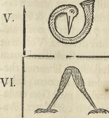 An illustration from Athanasii Kircheri e Soc. Jesu Turris Babel, sive, Archontologia qua primo priscorum post diluvium hominum vita, mores rerumque gestarum magnitudo, secundo Turris fabrica civitatumque extructio, confusio linguarum, & inde gentium transmigrationis, cum principalium inde enatorum idiomatum historiia, multiplici eruditione describunter & explicantur, 1679, leaf 237
