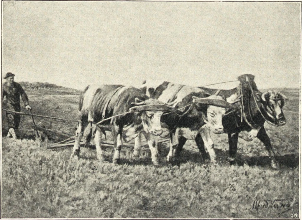 An illustration from Belgische Kunst des 19. Jahrhunderts, 1906, leaf 164