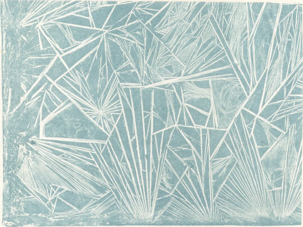 An illustration from Bericht über die Welt-Ausstellung zu Paris im Jahre 1867, 1869, leaf 355