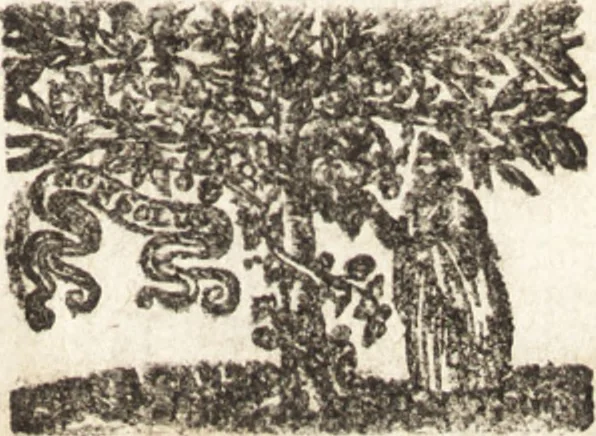 An illustration from Bibliotheca Heinsiana, sive, Catalogus librorum, quos magno studio, & sumtu, dum viveret, collegit vir illustris Nicolaus Heinsius, Dan. fil. : in duas partes divisus : cujus bibliothecae publicam faciet auctionem Lugduni Batavorum, Johannes de Vivie, bibliopola, ad diem lunae 15. Martii, anni 1683 stylo novo et sequentes, 1682, leaf 10