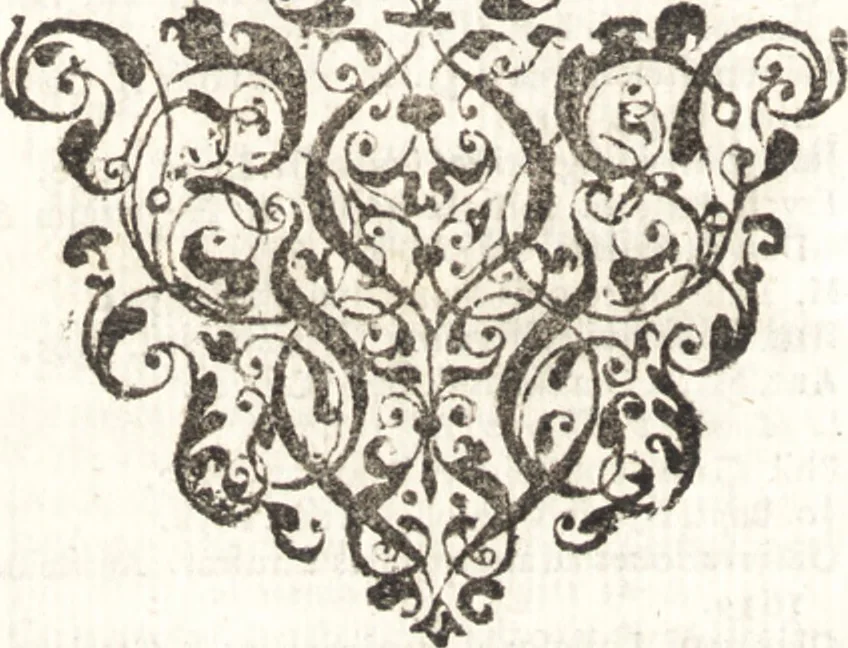 An illustration from Bibliotheca Heinsiana, sive, Catalogus librorum, quos magno studio, & sumtu, dum viveret, collegit vir illustris Nicolaus Heinsius, Dan. fil. : in duas partes divisus : cujus bibliothecae publicam faciet auctionem Lugduni Batavorum, Johannes de Vivie, bibliopola, ad diem lunae 15. Martii, anni 1683 stylo novo et sequentes, 1682, leaf 673