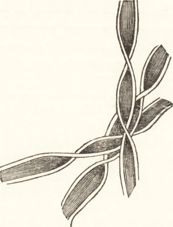 An illustration from A practical handbook of dyeing and calico-printing. With eleven page-plates, forty-seven specimens of dyed and printed fabrics, and thirty-eight woodcuts, 1874, leaf 127