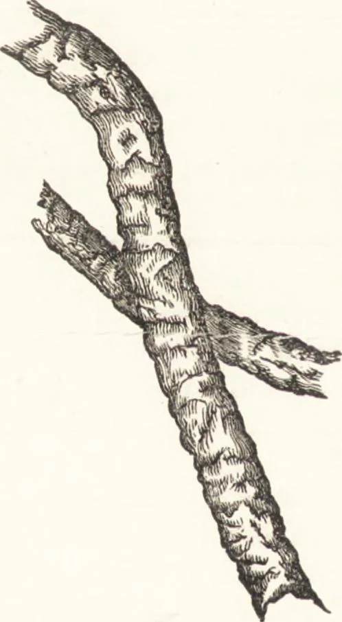 An illustration from A practical handbook of dyeing and calico-printing. With eleven page-plates, forty-seven specimens of dyed and printed fabrics, and thirty-eight woodcuts, 1874, leaf 127
