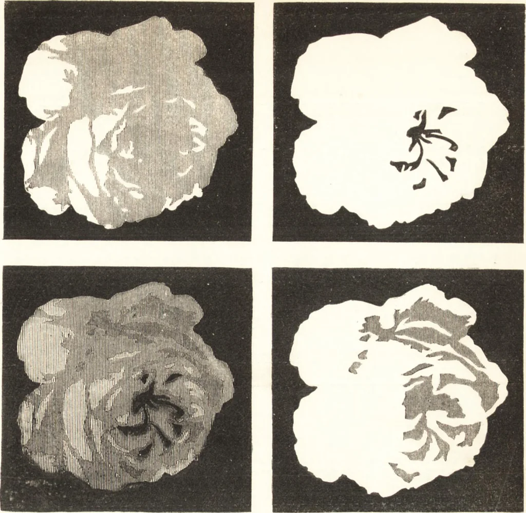 An illustration from A practical handbook of dyeing and calico-printing. With eleven page-plates, forty-seven specimens of dyed and printed fabrics, and thirty-eight woodcuts, 1874, leaf 582