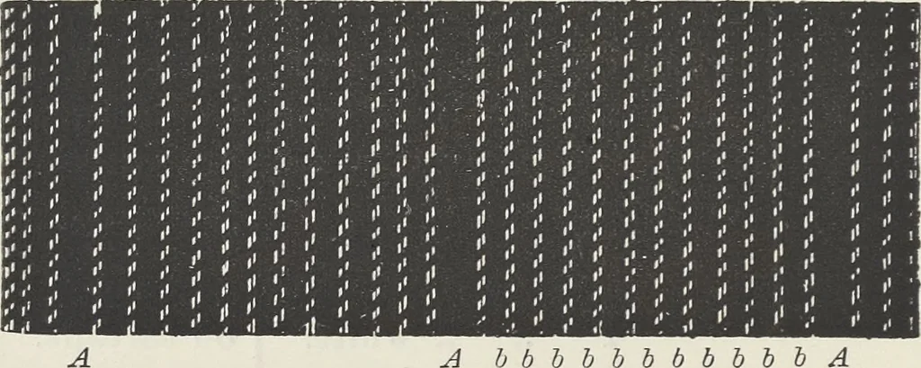 An illustration from Colour in woven design, 1890, leaf 189