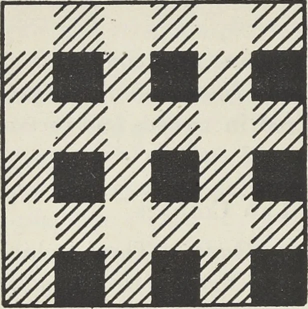 An illustration from Colour in woven design, 1890, leaf 207