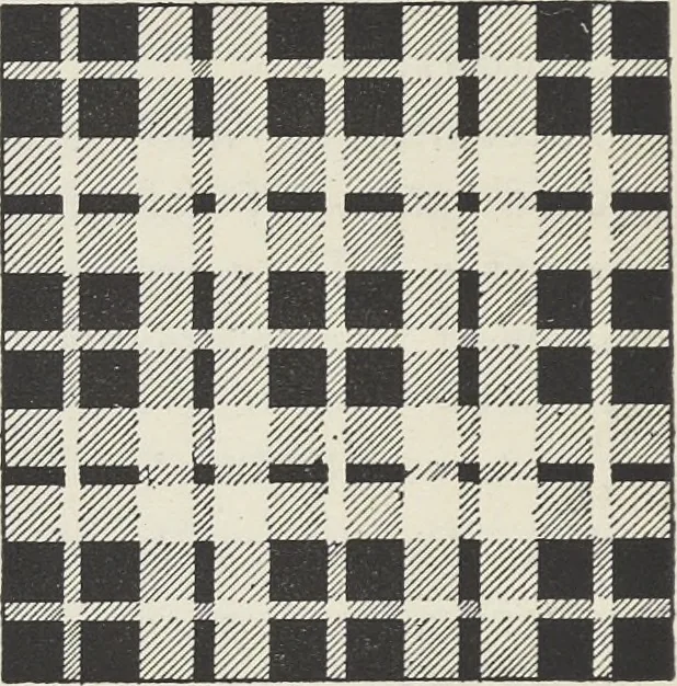 An illustration from Colour in woven design, 1890, leaf 207