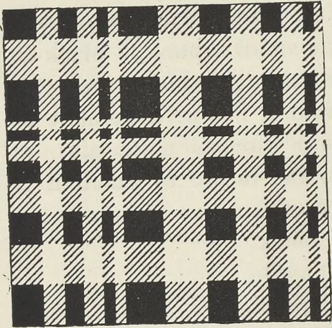 An illustration from Colour in woven design, 1890, leaf 211