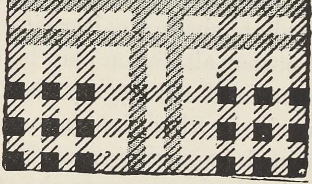 An illustration from Colour in woven design, 1890, leaf 218