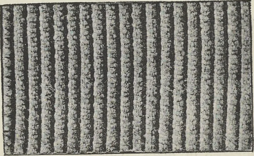An illustration from Colour in woven design, 1890, leaf 265