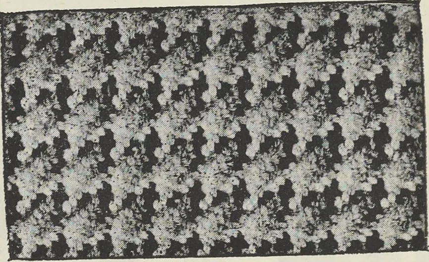 An illustration from Colour in woven design, 1890, leaf 267