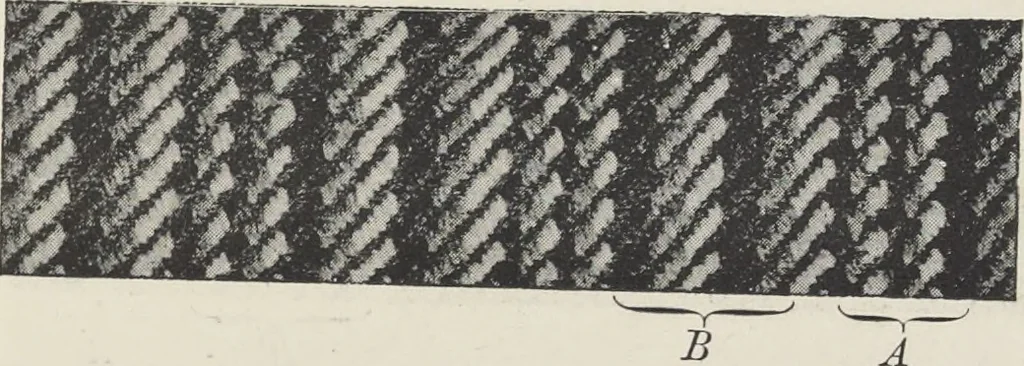 An illustration from Colour in woven design, 1890, leaf 298