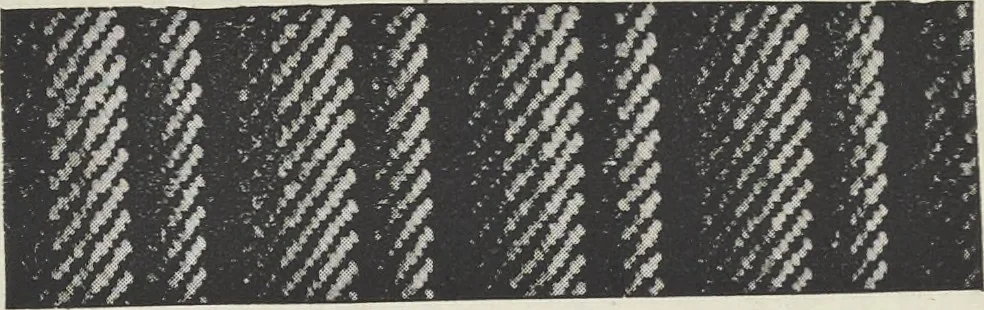 An illustration from Colour in woven design, 1890, leaf 301