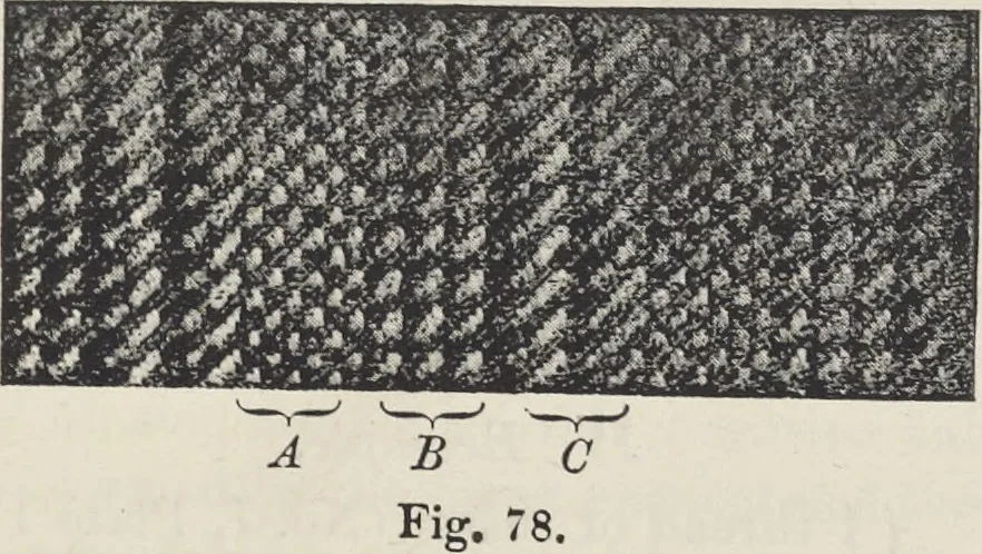 An illustration from Colour in woven design, 1890, leaf 304