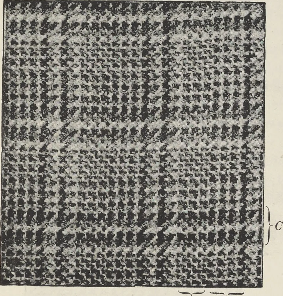 An illustration from Colour in woven design, 1890, leaf 306