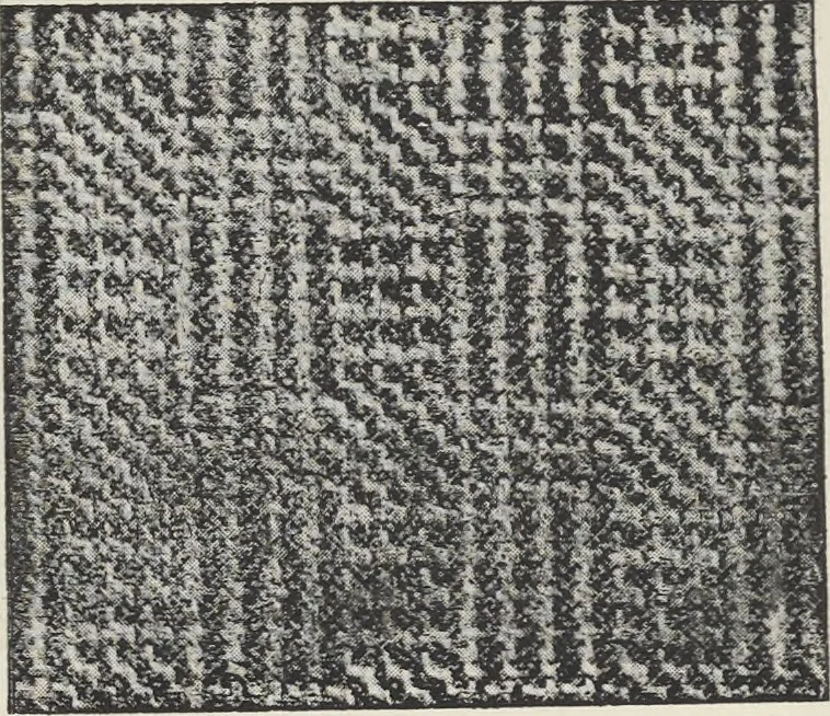 An illustration from Colour in woven design, 1890, leaf 307