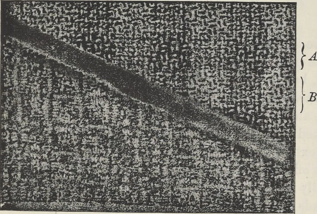 An illustration from Colour in woven design, 1890, leaf 318