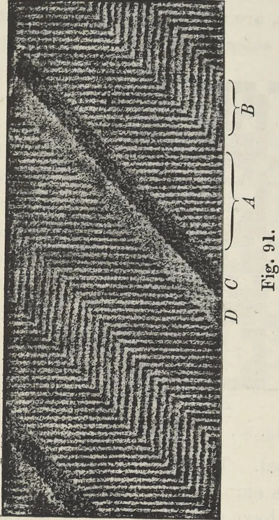 An illustration from Colour in woven design, 1890, leaf 328