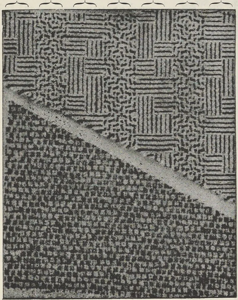 An illustration from Colour in woven design, 1890, leaf 348