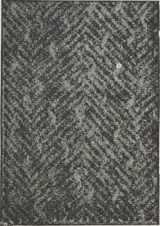 An illustration from Colour in woven design, 1890, leaf 373