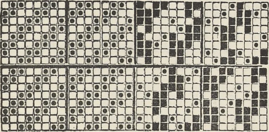 An illustration from Colour in woven design, 1890, leaf 376