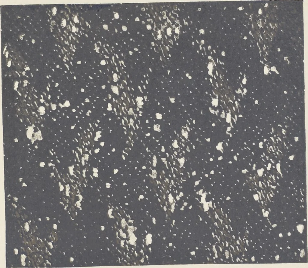 An illustration from Colour in woven design, 1890, leaf 396