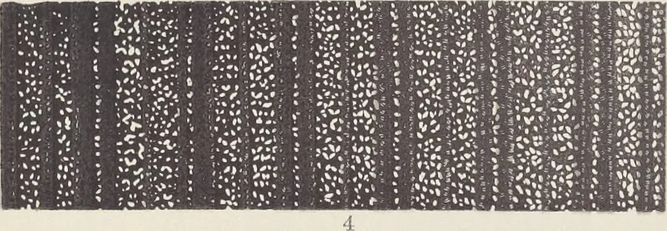 An illustration from Colour in woven design, 1890, leaf 422