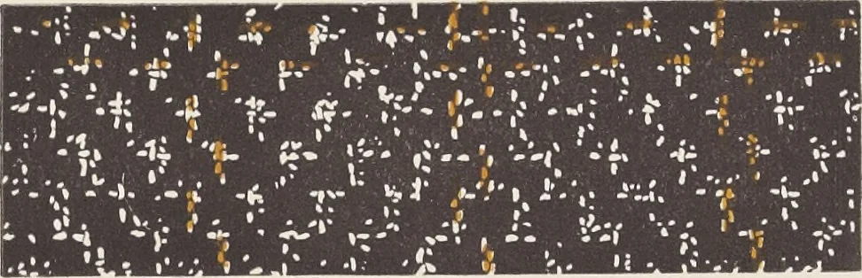 An illustration from Colour in woven design, 1890, leaf 422