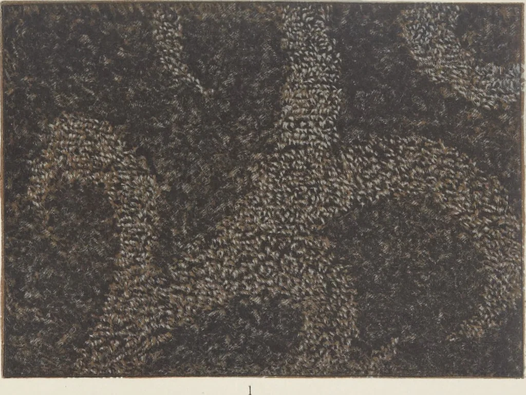 An illustration from Colour in woven design, 1890, leaf 460