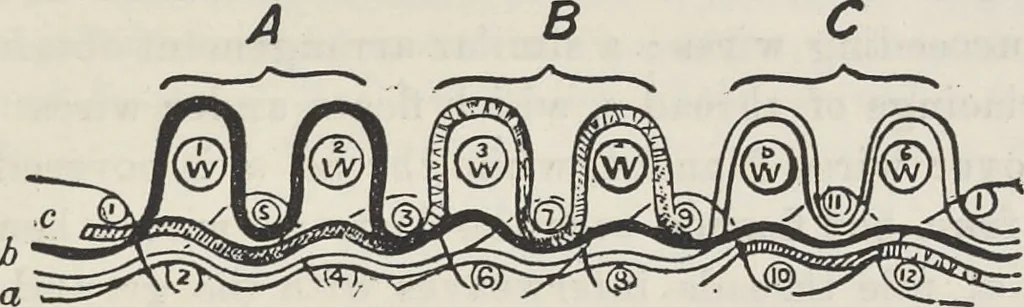 An illustration from Colour in woven design, 1890, leaf 464
