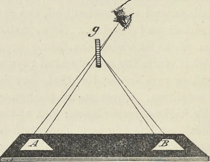 An illustration from Colour in woven design, 1890, leaf 47