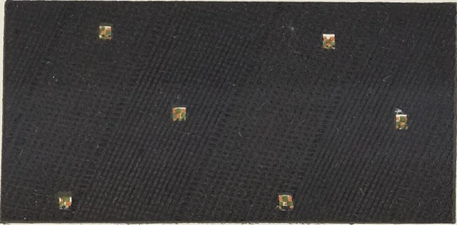 An illustration from Colour in woven design, 1890, leaf 470